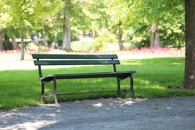 Empty bench in park