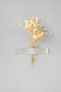 Directly above shot of yellow flower vase on table against wall