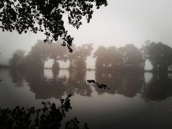 Reflection of trees in lake against sky