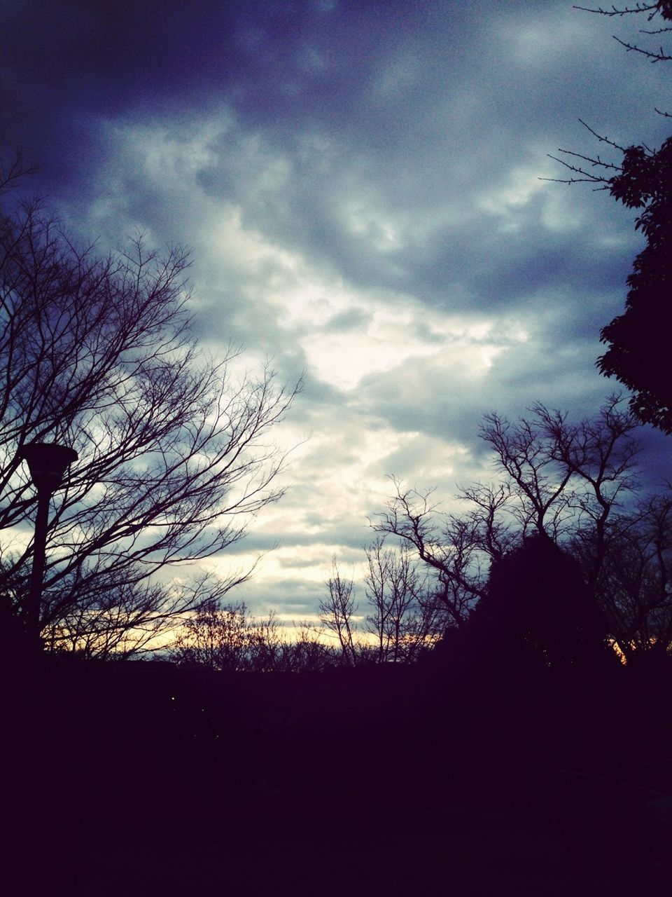 silhouette, sky, tree, bare tree, tranquility, cloud - sky, tranquil scene, scenics, beauty in nature, sunset, branch, nature, cloudy, cloud, low angle view, landscape, dusk, dark, idyllic, outdoors