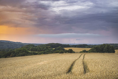 Scenic view of field against sky