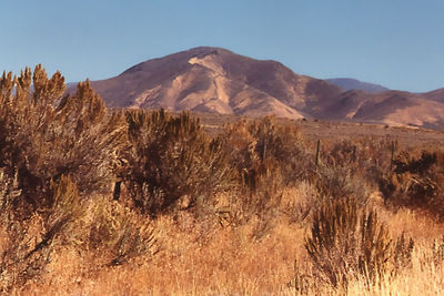 Scenic view of desert against sky