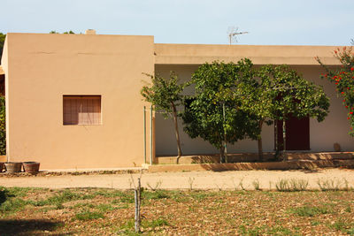 Typical low and square building structure of the balearic islands in summer for holiday