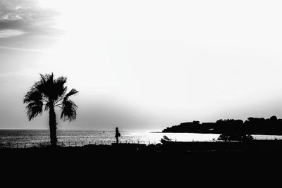 Silhouette palm trees on beach against sky