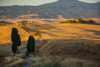 Rear view of woman walking on field