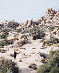 Rear view of woman walking on desert