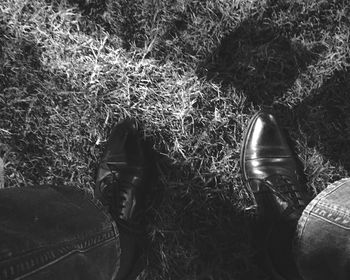 Low section of person standing on field