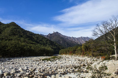 Scenic view of landscape and mountains against sky