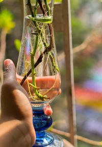 Close-up of a hand holding vase