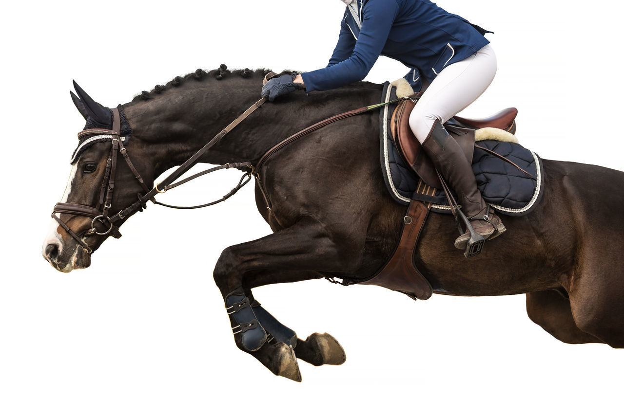 Equestrian sports