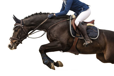 Low section of woman riding horse in competition