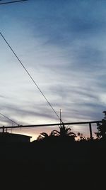 Low angle view of silhouette plants against sky