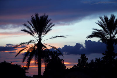 Low angle view of silhouette trees against sky at sunset