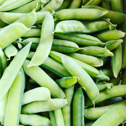 Full frame shot of green chili peppers in market