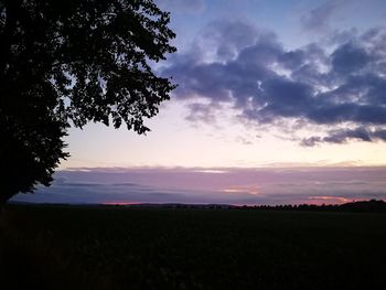 Silhouette tree on field against sky at sunset