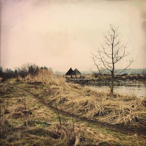 View of field against sky