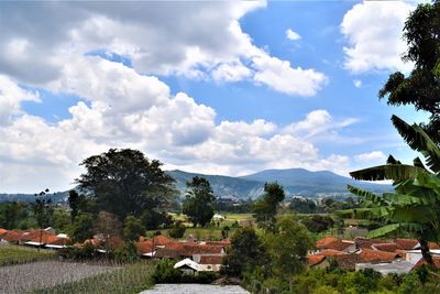 Houses by trees and buildings against sky