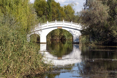 Arch bridge over lake against trees