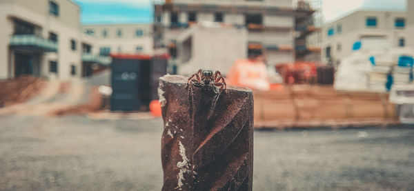 Close-up of old metal on building in city