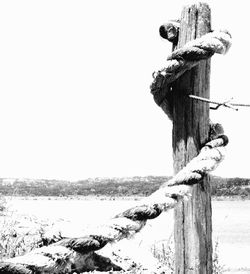 View of wooden post in front of built structure