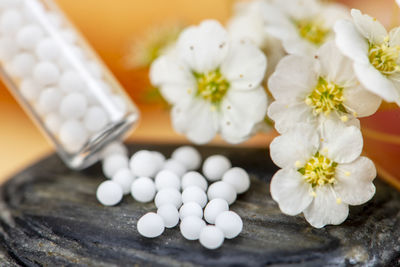 Close-up of white flowers on table