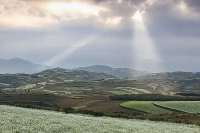 View of agricultural landscape against cloudy sky