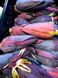 Close-up of carrots for sale in market