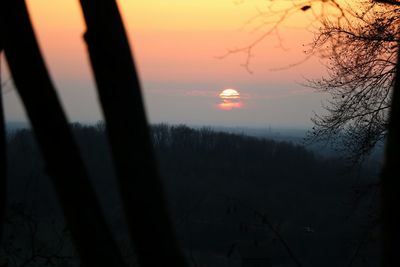 Close-up of silhouette trees against sky during sunset