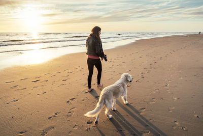 Rear view of woman with dog walking on sand at beach