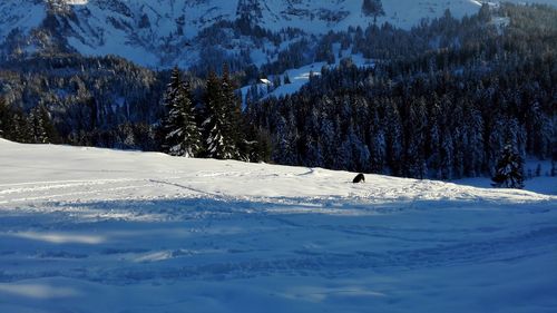 Scenic view of snowcapped mountains during winter