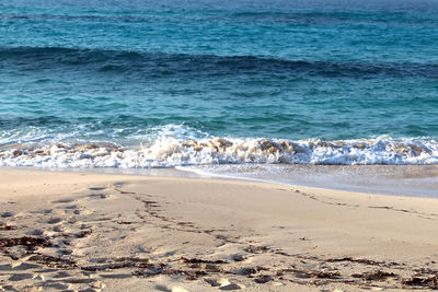 Scenic view of beach