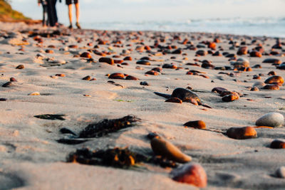 Close-up of stones on beach