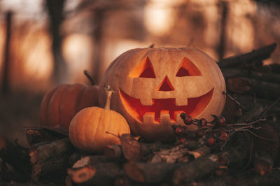 Jack o lantern on field