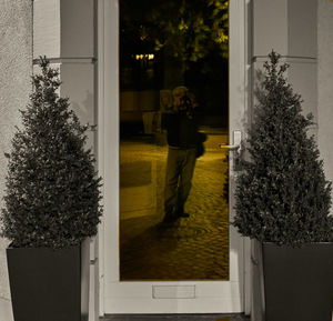 View of christmas tree at entrance of house