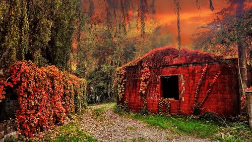 View of abandoned building