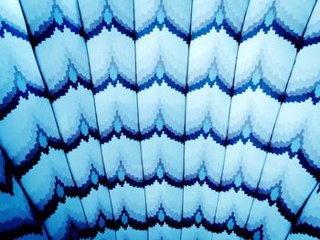 Full frame shot of tree