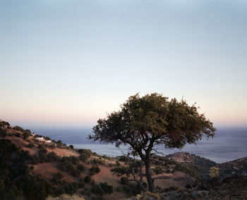 Scenic view of sea against clear sky at sunset