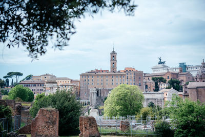 Ancient ruins of palatine and forum in rome, rome's archeological sights