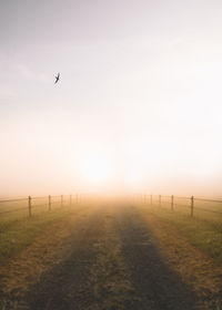 Scenic view of field against clear sky during sunset