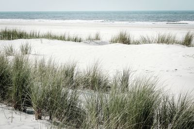 Scenic view of beach against sky