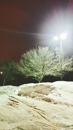 Scenic view of trees against sky at night