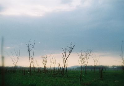 Scenic view of field against sky during sunset
