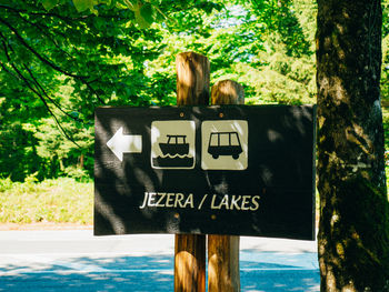 Rear view of information sign on tree