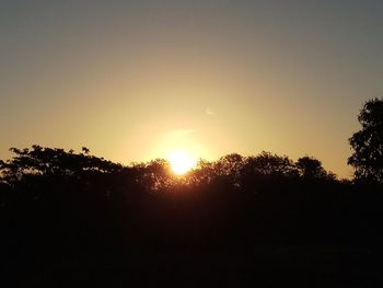 Silhouette trees against sky during sunset