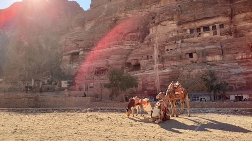 Horse cart in a building