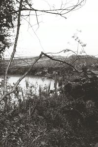 Scenic view of river against sky