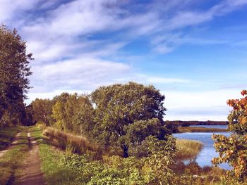 Scenic view of landscape and trees against sky