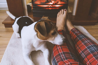 Low section of woman relaxing by dog on rug at home