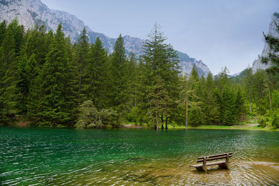 Scenic view of lake by trees against sky