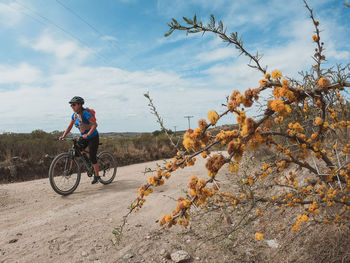 Man riding bicycle on tree against sky